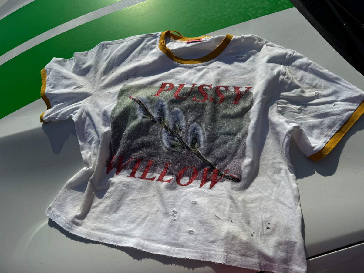 * PW  ringer tee