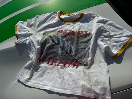 * PW  ringer tee